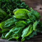 Свежий шпинат прямо из Италии: Азербайджан становится партнером поставок диетической зелени