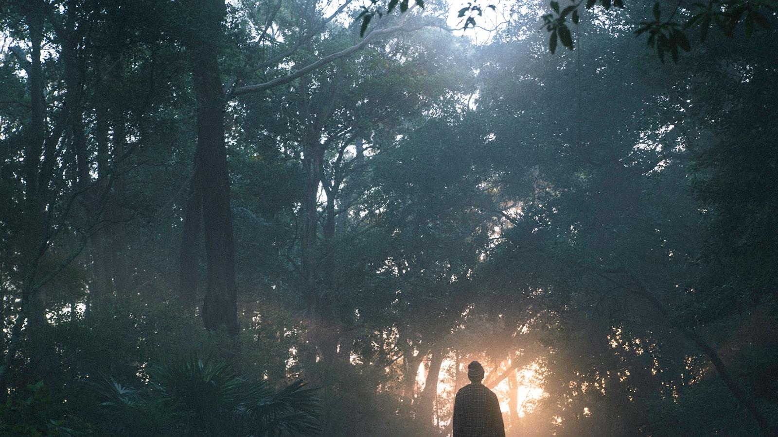 Исследование традиционной азербайджанской ‍кухни