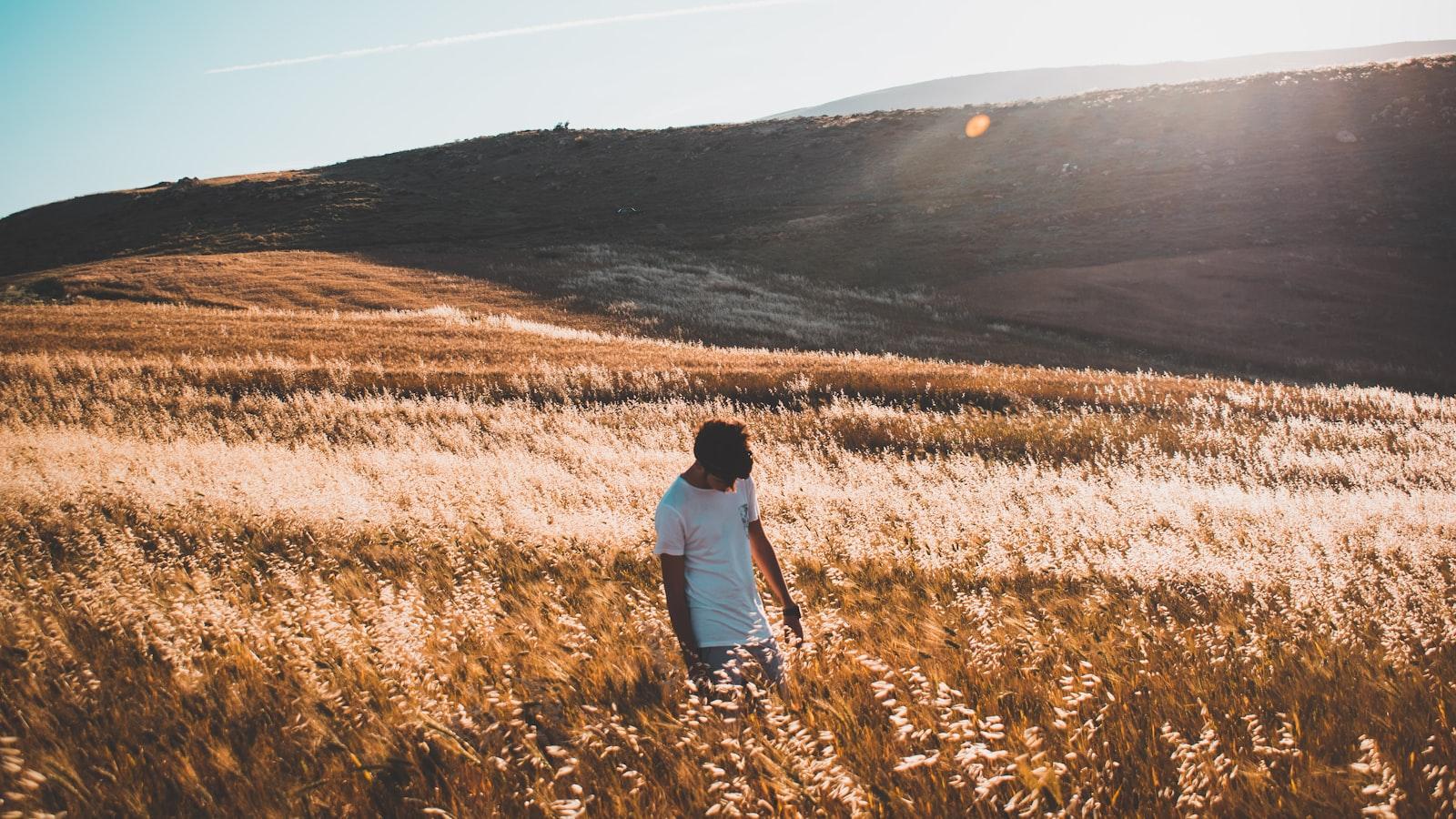 Исследование ⁤традиционной ⁢азербайджанской кухни