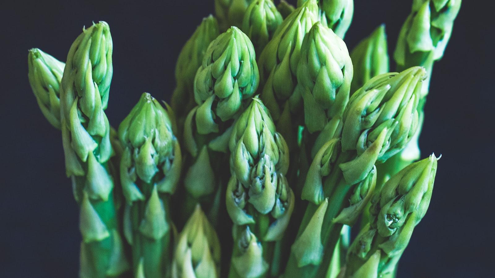 Лучшие блюда и местные вкусы в ➤Baku‍