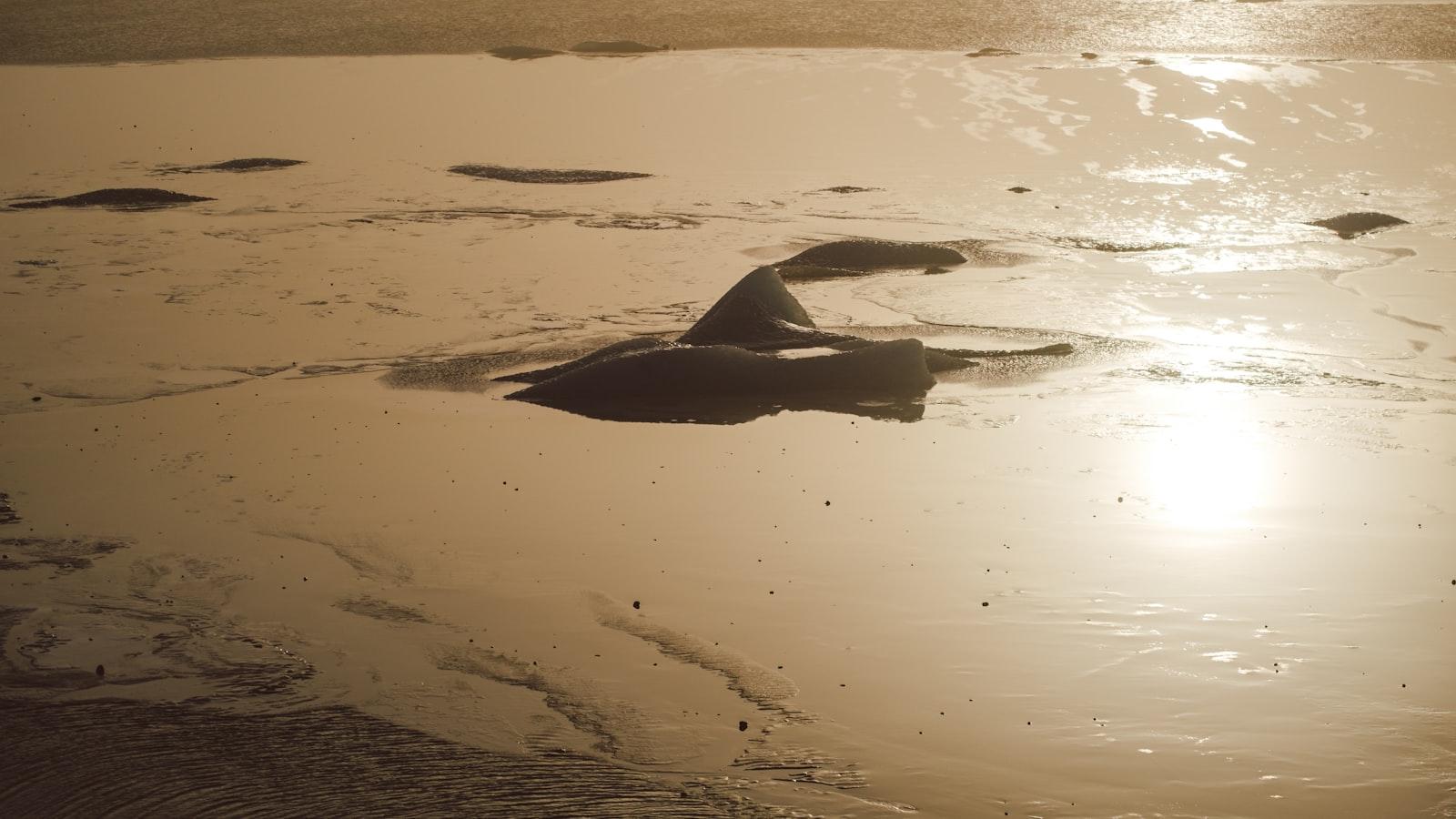 Скрытые жемчужины и избранные рестораны⁢ в Баку