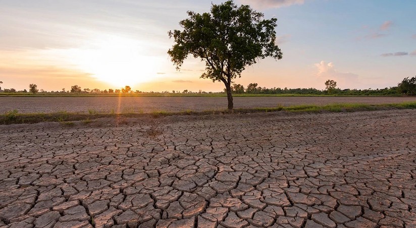 Страны Южной Африки призвали собрать $5,5 млрд на борьбу с засухой
