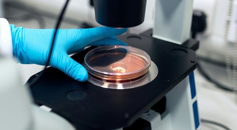 В России к концу года ожидают получить результаты исследований вакцины от рака