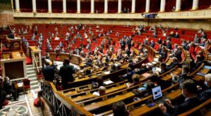 СМИ: В Нацсобрании Франции правым не дали возглавить ни один комитет
