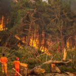 В Турции из-за лесных пожаров задержаны шесть человек, еще трое объявлены в розыск