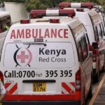 В Кении 14 человек погибли и более 50 пострадали в ДТП с участием автобуса