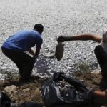 В Эгейском море собрали около 100 тонн мертвой рыбы