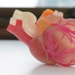 Ученые установили, что анализ крови может предсказать риск инфаркта и инсульта