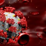 Ученые обнаружили антитело, защищающее от всех видов возбудителя COVID-19