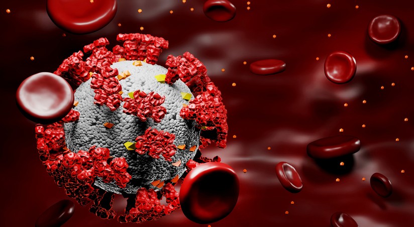 Ученые обнаружили антитело, защищающее от всех видов возбудителя COVID-19