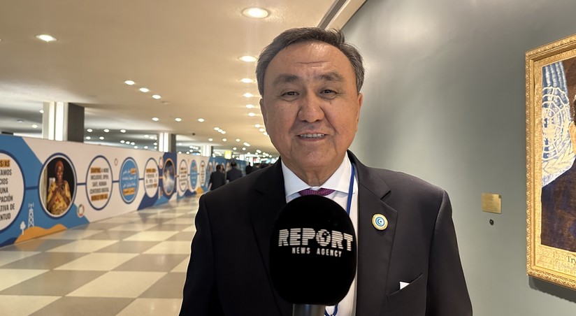 Генсек ОТГ: Проведение COP29 в Азербайджане крайне важно для государств региона