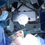 Удивительный прорыв в медицине: китайской обезьяне удалось получить почку от свиньи!