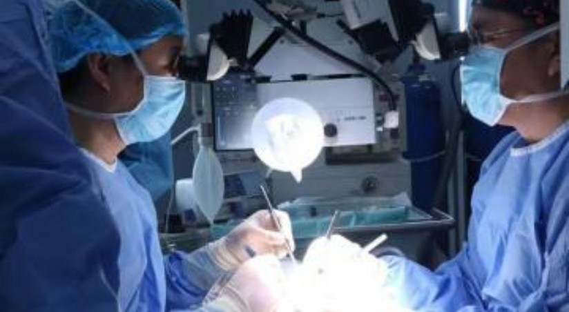 Удивительный прорыв в медицине: китайской обезьяне удалось получить почку от свиньи!