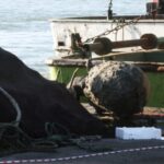 лый век

«Открытие старых сокровищ: найденные у берегов Стамбула древние артефакты в Черном море