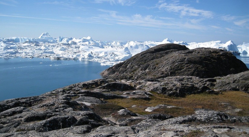 Дания: важнейший покупатель Гренландии – кто будет иметь преимущественное право?