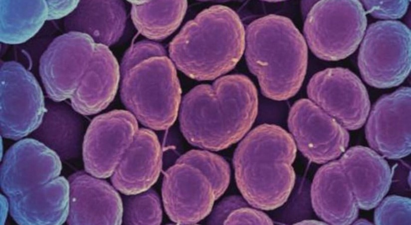 Новый подход к борьбе с инфекциями: безопасный и эффективный метод от ученых