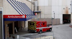 Бедственная ситуация: число зараженных корью в Техасе достигает 481 — как защитить себя и своих близких?