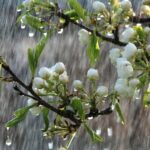 Увлекательные осадки: красота и разнообразие Азербайджана