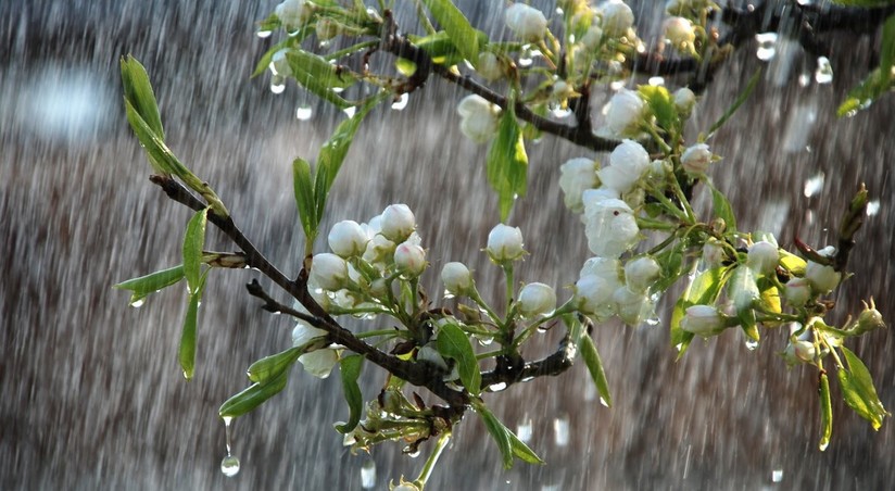 Увлекательные осадки: красота и разнообразие Азербайджана