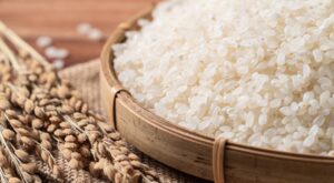 Подвиг в ботанике: ученые достигают первого за 160 лет прорыва, который увеличит урожайность