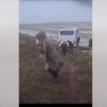 Неудержимый ветер в Баку: Автобус укатил с трассы в канаву!