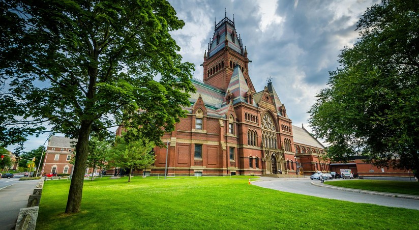 Гарвард против президента: борьба за справедливость в медиасфере