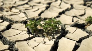 Невероятно жаркое лето: ученые предвещают глобальные катаклизмы