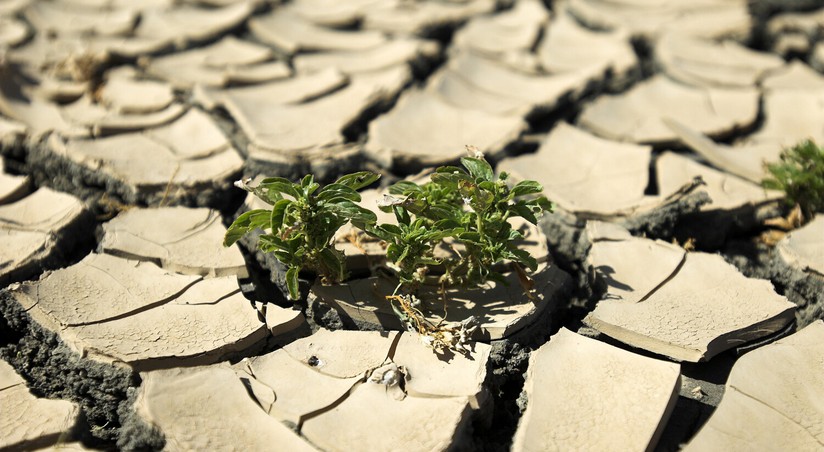 Невероятно жаркое лето: ученые предвещают глобальные катаклизмы