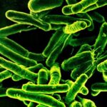 Борьба с туберкулезом: ученые достигли глобального прорыва