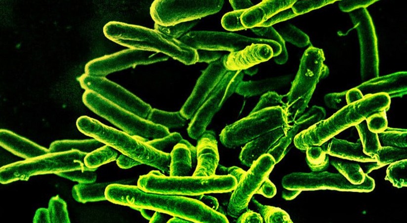 Борьба с туберкулезом: ученые достигли глобального прорыва