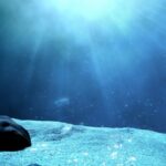 Неизведанный мир под волнами: ученые признали свою незнание глубин океанов Земли