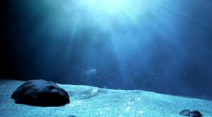 Неизведанный мир под волнами: ученые признали свою незнание глубин океанов Земли