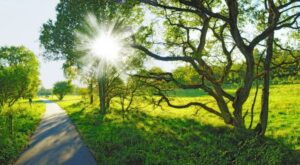 Завтра обещает быть прекрасным: термометр покажет 36 градусов тепла