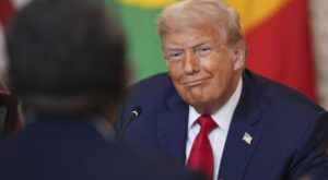 НАТО будет поддерживать Украину: Трамп принял решение о передаче американского оружия союзникам для поддержки страны
