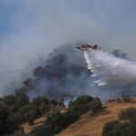 В Турции пожар перекинулся на лесной массив