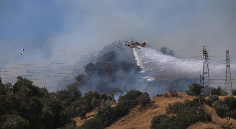 В Турции пожар перекинулся на лесной массив