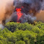 Эвакуация 1,5 тыс. человек из-за лесного пожара в Испании: опасность подступает к дверям