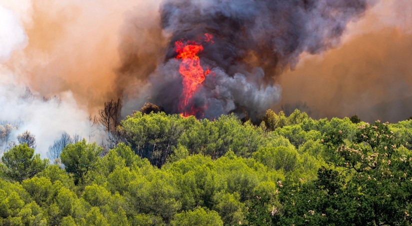 Эвакуация 1,5 тыс. человек из-за лесного пожара в Испании: опасность подступает к дверям