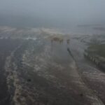 Более 30 сильных афтершоков за сутки на Камчатке: что это значит для нас?