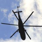 Нерушимая сила кошек: крылатый полицейский оказался под угрозой в Колумбии