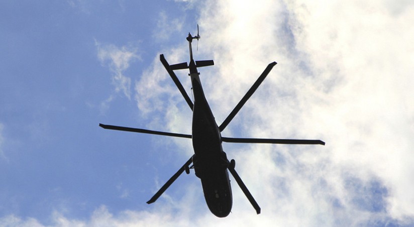 Нерушимая сила кошек: крылатый полицейский оказался под угрозой в Колумбии